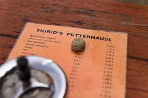 Sigrids Futterhäusel
